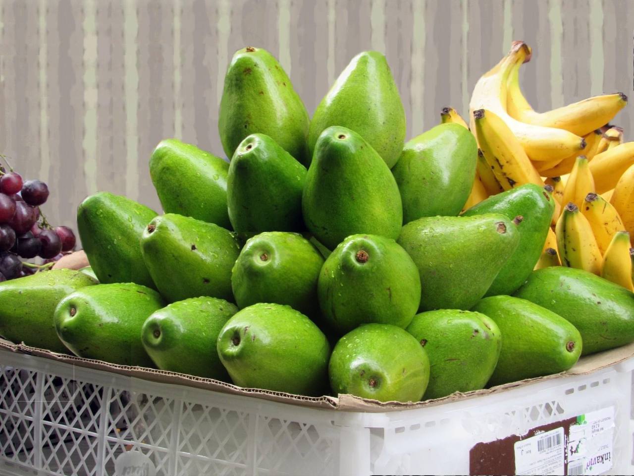 Cartagena Street <br>Food Tour